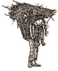 The Pine